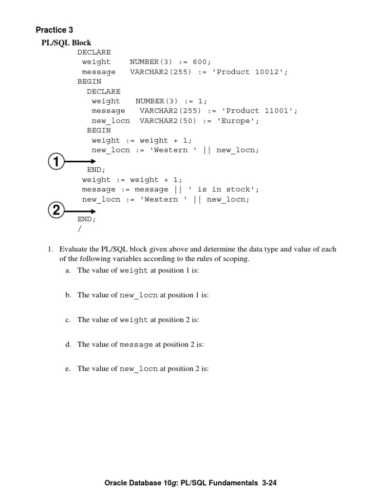 PL/SQL Block Comments and Scope | PDF | Pl/Sql | Oracle Database