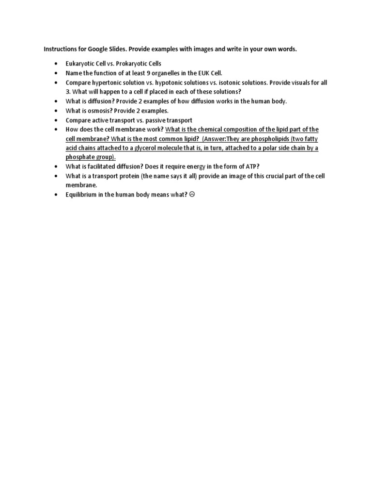 Anatomy Google Slides 2 PDF