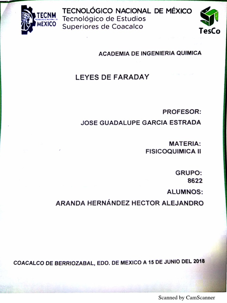 Faraday PDF Document Overview | PDF