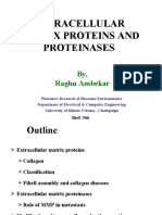 Extra Cellular Matrix Proteins and Proteinases