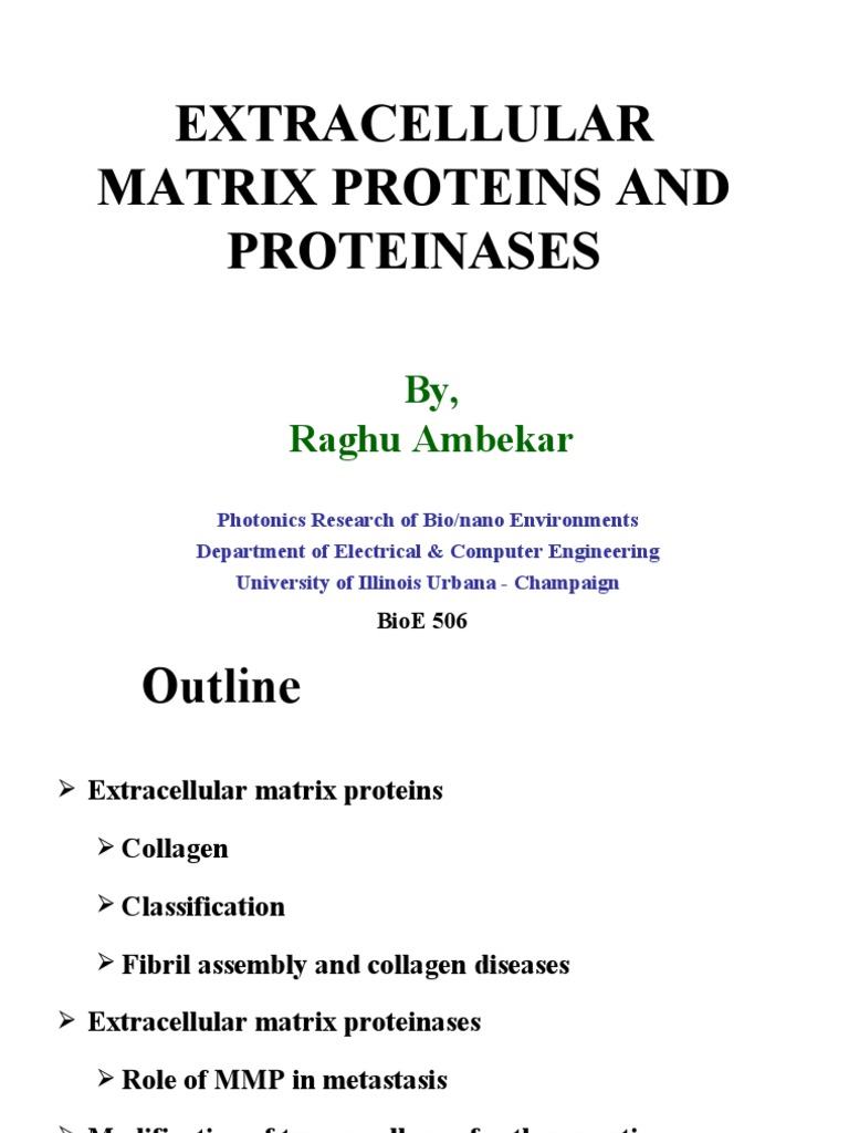 ECM Proteins and MMPs in Cancer Therapy | PDF | Collagen | Molecular ...