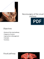 Neurosurgery of The Visual Pathway