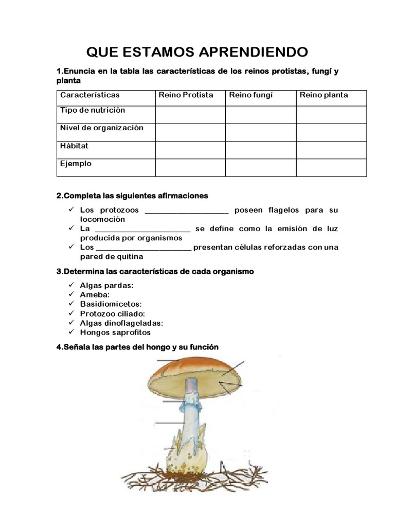 Actividad de Plataforma Reinos 6 | PDF | Plantas | Hongo