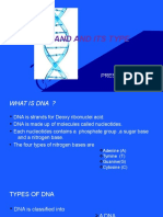 Dna and and Its Type: Presented by V.Ruban