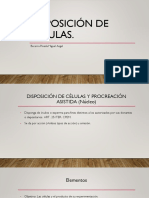 Disposición de Células.