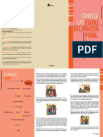 ´Proceso Penal.pdf