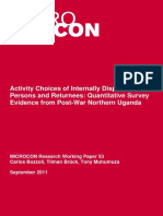Activity Choices of Internally Displaced Persons and Returnees