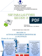 NIIF para PYMES Sección 18-Expo 6