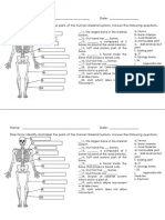 Skeletal System Quiz.docx