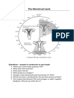 Menstrual CYcle Worksheet