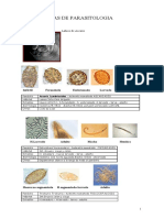 Atlas de Parasitologia PDF