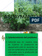 Proyecto de Aguaymanto