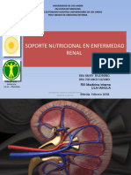 08 - Soporte Nutricional en Enfermedad Renal