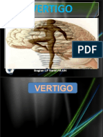 VeRTIGO.pptx