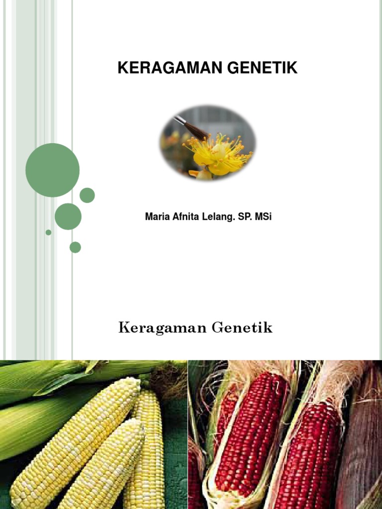 Penggunaan Cholcisine dalam Keragaman Genetik | PDF