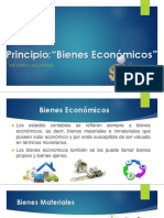 Principio Bienes Economicos - Yerit Sabrina Ortiz