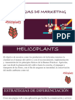 Estrategias de Marketing-Heliconia