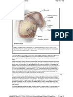 Moore Clinical Anatomy