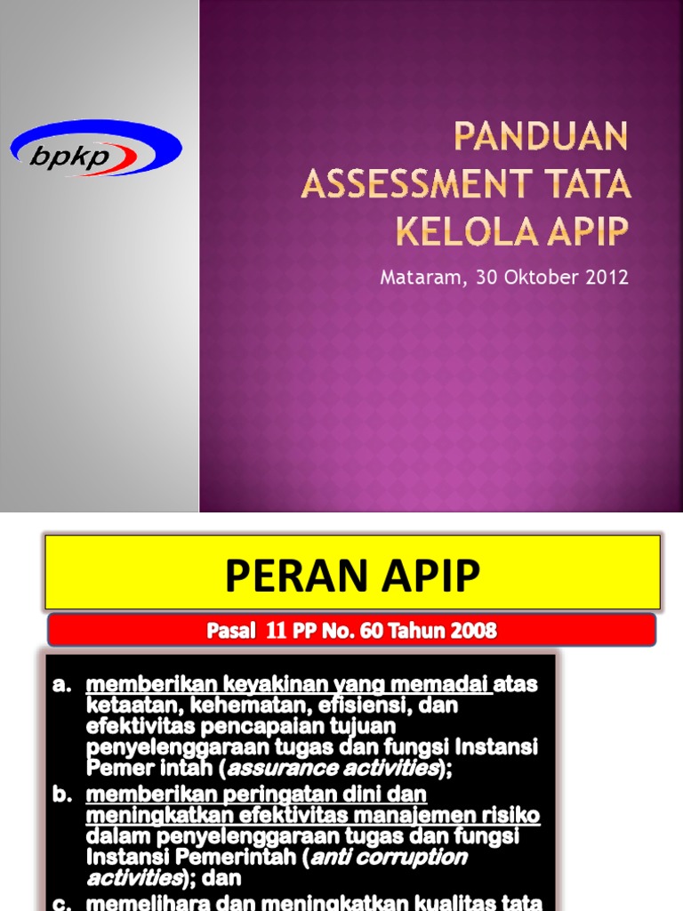 Tugas dan Fungsi APIP dalam Pemerintahan | PDF