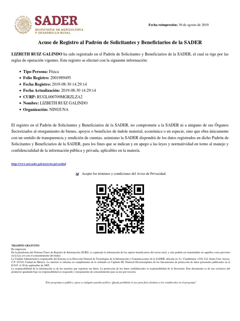 Acuse | PDF | Privacidad de la información | Gobierno
