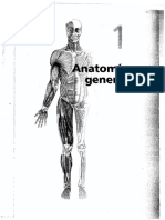 Anatomio General 1 Paginas