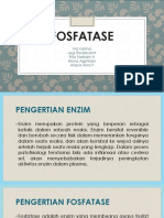 FOSFATASE