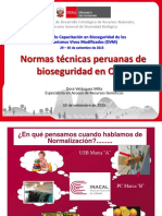 11.-Normas-Técnicas (1).pptx