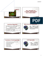 General Biology 1: Cell Organelles & Other Specialized Cell Structures