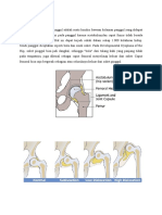 Displasia Perkembangan Pinggul