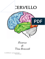 Il Cervello - Ricerca Di Tina Broccoli PDF
