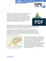 Bactérie PDF