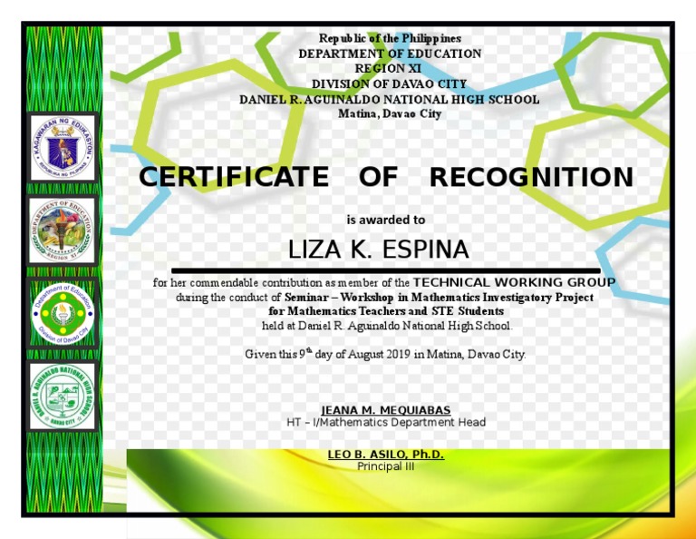 Certificate of Recognition for TWG Member | PDF