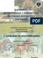 Requerimientos Nutricionales y Energéticos en Yeguas Gestantes y
