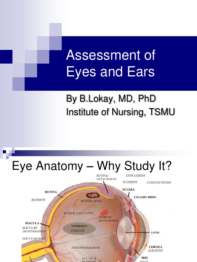 Assessment of Eyes and Ears by B.Lokay, MD, PHD Institute of Nursing