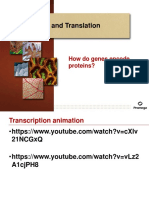 Lecture On Transcription and Translation