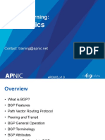 BGP_Basics_APNIC.pdf