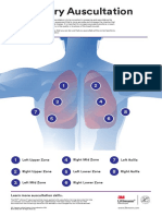 Littmann Pulmonary Auscultation Poster