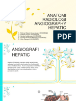 Anrad Angiography Hepatic