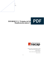 informe-pedimento-y-manifestacic3b3n.pdf