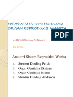 Anatomi-Fisiologi-Organ-Reproduksi-Wanita - 1 - .PPT Filename UTF-8''Anatomi-fisiologi-organ-reproduksi-wanita