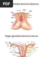 Frank Gun va Patty Page porno tomosha