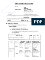 Informe Técnico Pedagogico