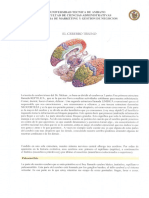 7.el Cerebro Triuno PDF