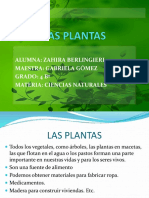 Las Plantas