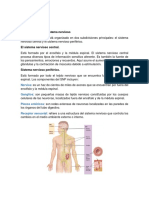 Generalidades Del Sistema Nervioso