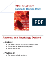 Human Anatomy Introduction