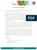 cuentas_contables.pdf