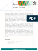 Cuentas Contables PDF