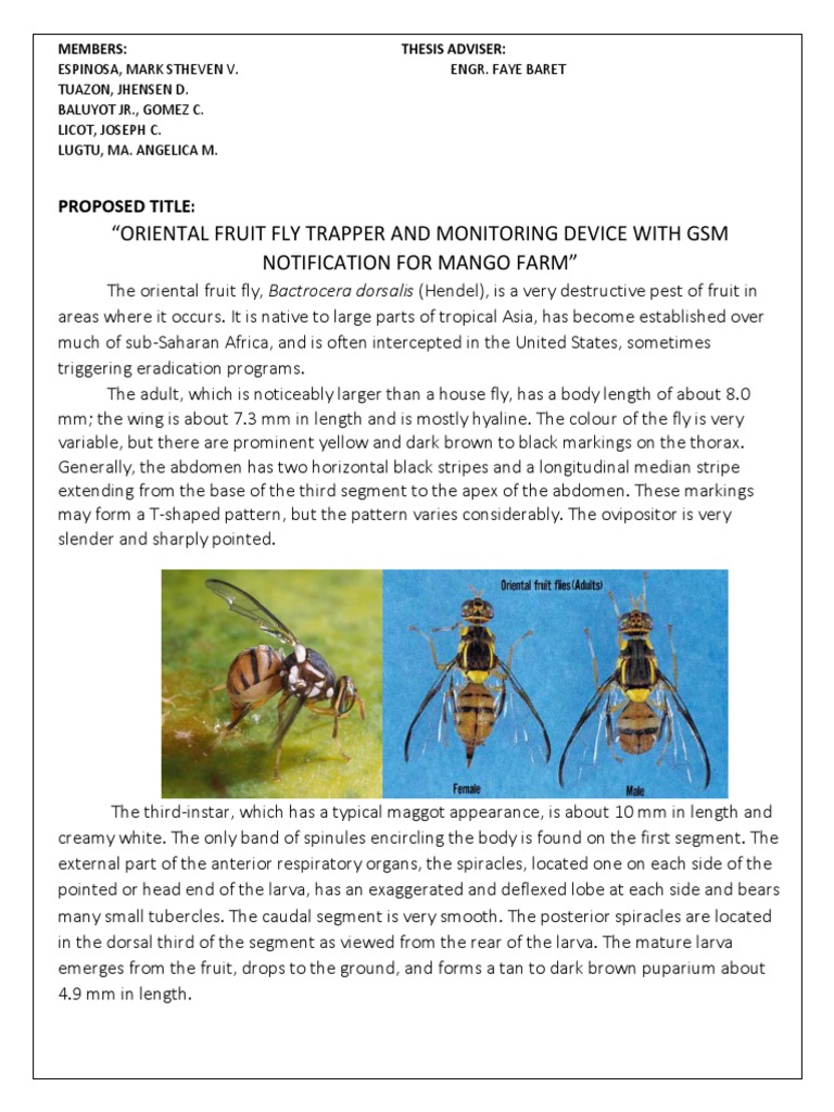 Oriental Fruit Fly Monitoring Device | PDF | Fly | Insects