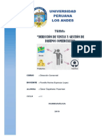 Dirección de Ventas y Gestión de Equipos Comerciales - Mio